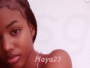 Haya23