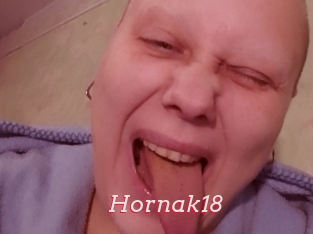 Hornak18