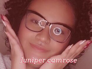 Juniper_camrose