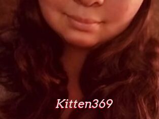 Kitten369