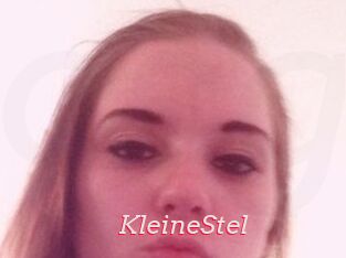 KleineStel