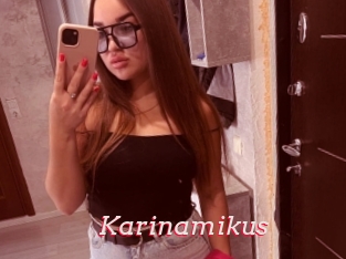 Karinamikus