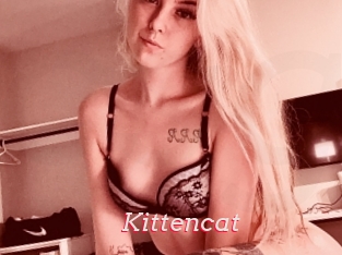 Kittencat