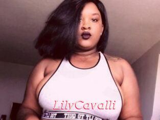 Lily_Cavalli