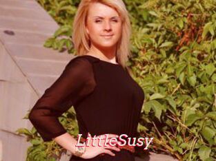 LittleSusy