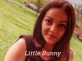 Little_Bunny_