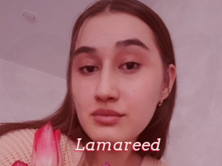 Lamareed