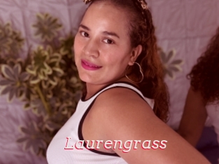 Laurengrass