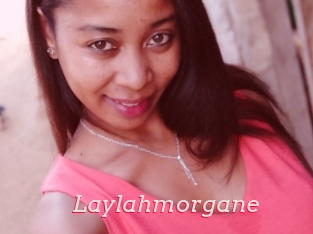 Laylahmorgane