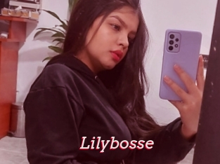 Lilybosse