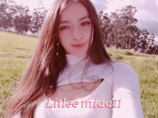 Litlee_miaa11