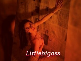 Littlebigass