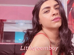 Littlefeemboy