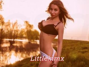 Littlekimx