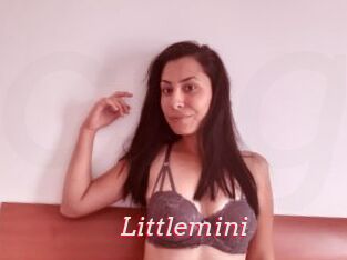 Littlemini