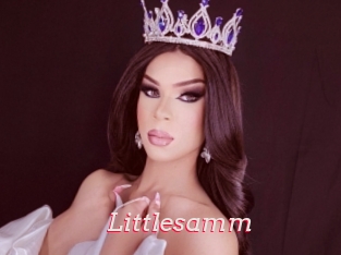 Littlesamm