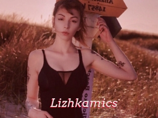 Lizhkamics