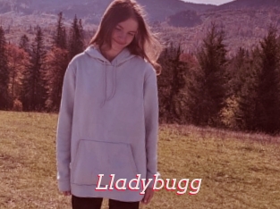 Lladybugg