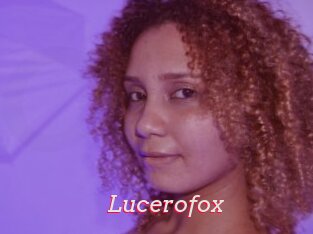 Lucerofox