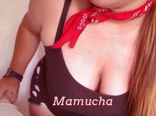 Mamucha