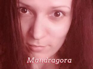 Mandragora