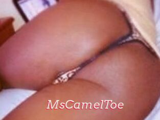 MsCamelToe