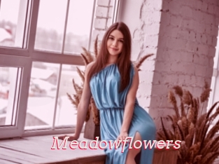 Meadowflowers