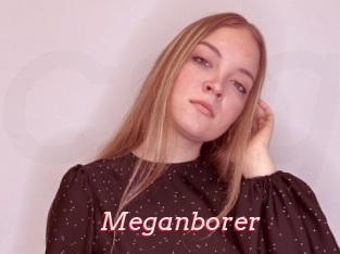 Meganborer