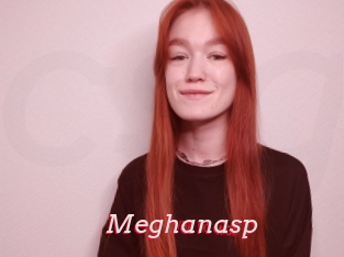 Meghanasp