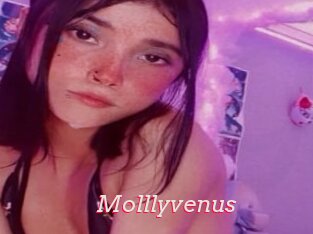 Molllyvenus