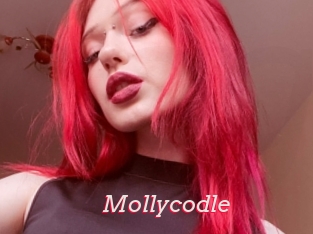 Mollycodle