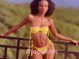 Niagollden