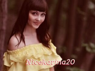 Nicekarina20