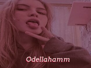 Odellahamm