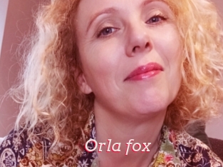 Orla_fox