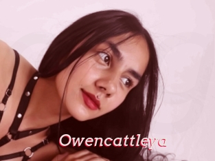 Owencattleya