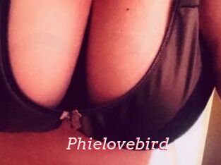 Phielovebird