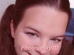 Phoenixsky111