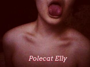 Polecat_Elly