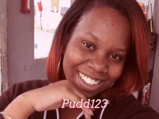 Pudd123