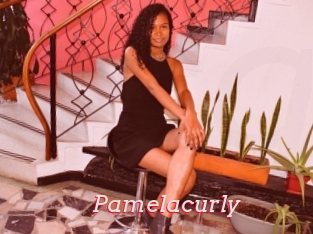 Pamelacurly