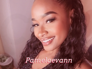 Pamelaevann