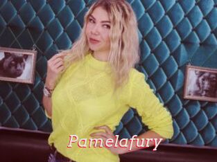 Pamelafury