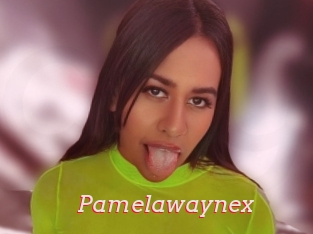 Pamelawaynex