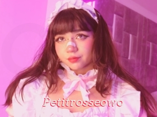 Petitrosseowo