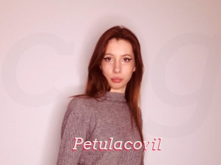 Petulacovil