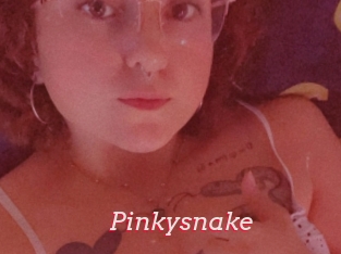 Pinkysnake