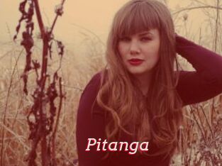 Pitanga