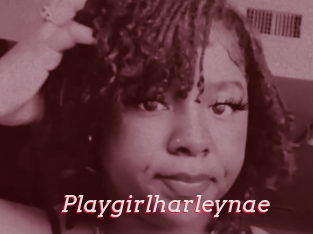 Playgirlharleynae