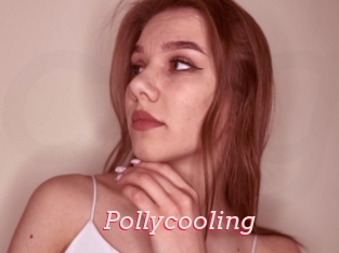 Pollycooling